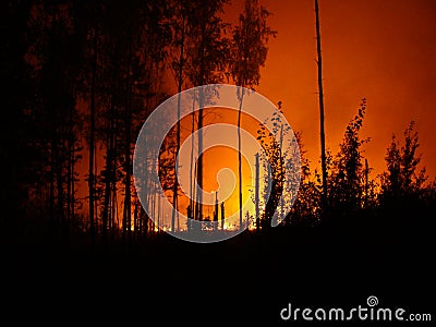 Wildfire Stock Photo