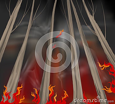 Wildfire scene Stock Photo