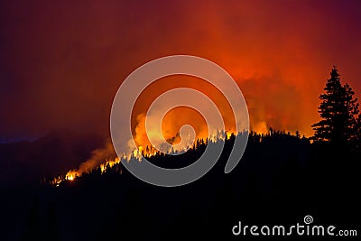 Wildfire silhouette Stock Photo