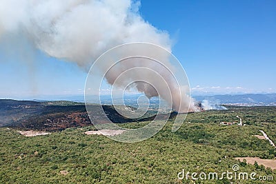 Wildfire spreading on slovenian Karst near italian border in hot summer time Stock Photo