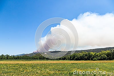 Wildfire with strong wind and drought Stock Photo