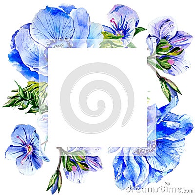 Wildflower anemone flower frame in a watercolor style isolated. Stock Photo