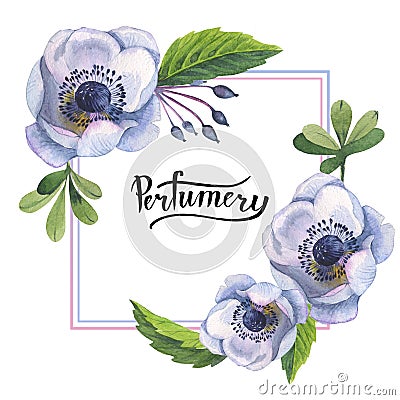 Wildflower anemone flower frame in a watercolor style isolated. Stock Photo