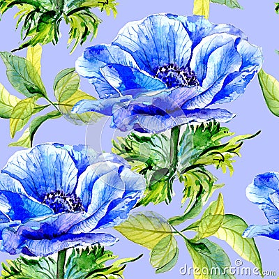 Wildflower anemone flower pattern in a watercolor style isolated. Stock Photo