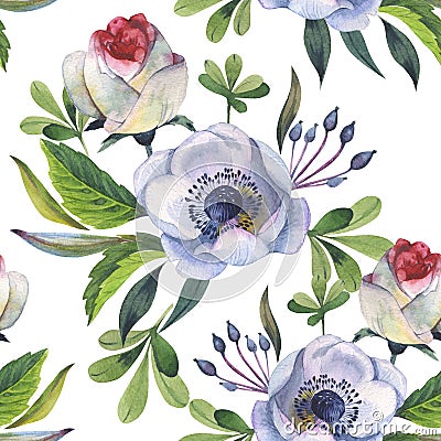 Wildflower anemone flower pattern in a watercolor style isolated Stock Photo