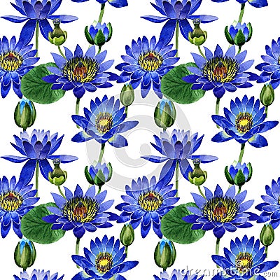 Wildflower blue lotus flower pattern in a watercolor style isolated. Stock Photo