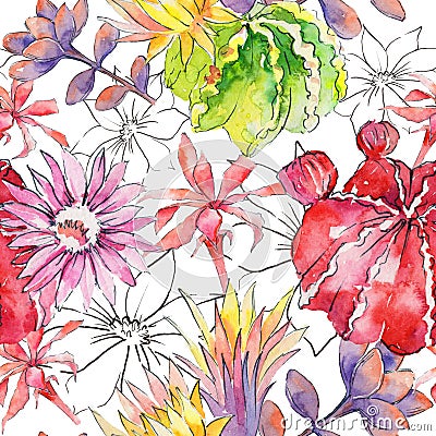 Wildflower cactus flower pattern in a watercolor style. Stock Photo