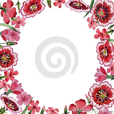 Wildflower carnation flower frame in a watercolor style isolated. Stock Photo