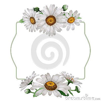 Wildflower chamomile flower frame in a watercolor style isolated. Stock Photo