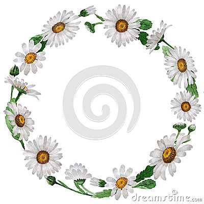 Wildflower chamomile flower wreath in a watercolor style isolated. Stock Photo