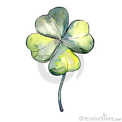 Wildflower clover flower in a watercolor style isolated. Stock Photo