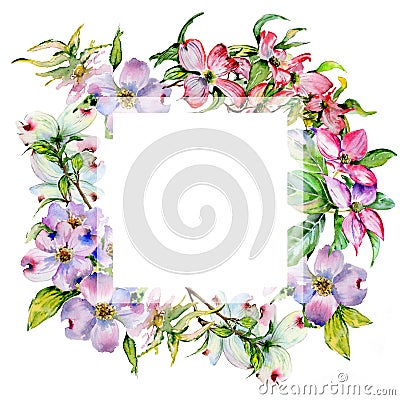Wildflower dogwood flower frame in a watercolor style isolated. Stock Photo