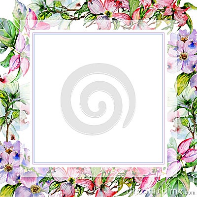 Wildflower dogwood flower frame in a watercolor style isolated. Stock Photo