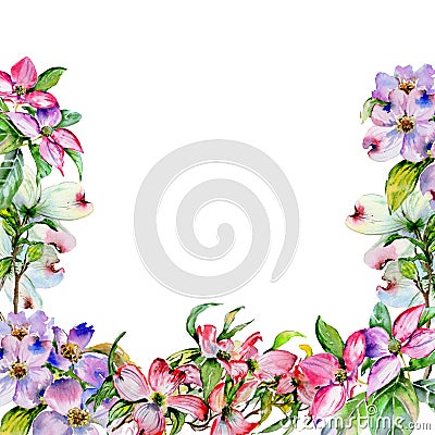 Wildflower dogwood flower frame in a watercolor style isolated. Stock Photo