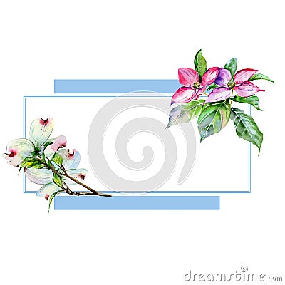 Wildflower dogwood flower frame in a watercolor style isolated. Stock Photo