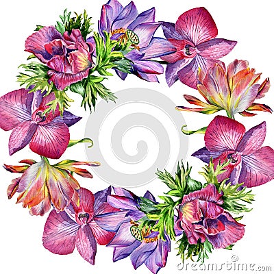 Wildflower flower frame in a watercolor style isolated. Stock Photo