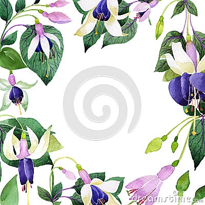 Wildflower fuchsia flower frame in a watercolor style. Stock Photo