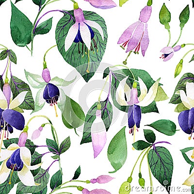 Wildflower fuchsia flower pattern in a watercolor style. Stock Photo