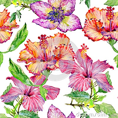 Wildflower hibiscus flower pattern in a watercolor style isolated. Stock Photo