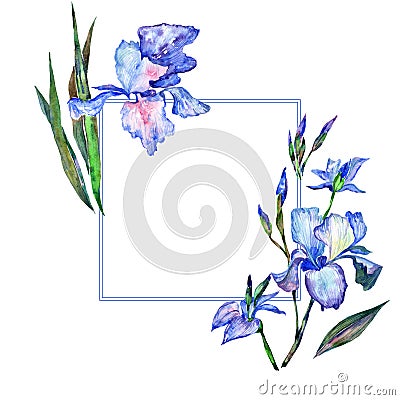 Wildflower iris flower frame in a watercolor style. Stock Photo