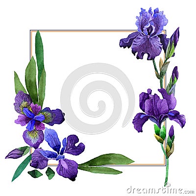 Wildflower iris flower frame in a watercolor style isolated. Stock Photo