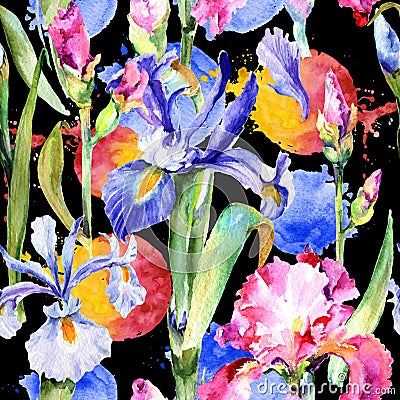Wildflower iris flower pattern in a watercolor style. Stock Photo