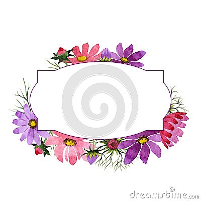 Wildflower kosmeya flower frame in a watercolor style isolated. Stock Photo