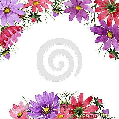 Wildflower kosmeya flower frame in a watercolor style isolated. Stock Photo