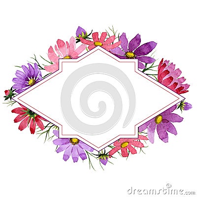 Wildflower kosmeya flower frame in a watercolor style isolated. Stock Photo