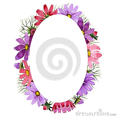 Wildflower kosmeya flower frame in a watercolor style isolated. Stock Photo