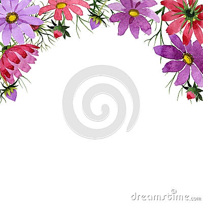 Wildflower kosmeya flower frame in a watercolor style isolated. Stock Photo