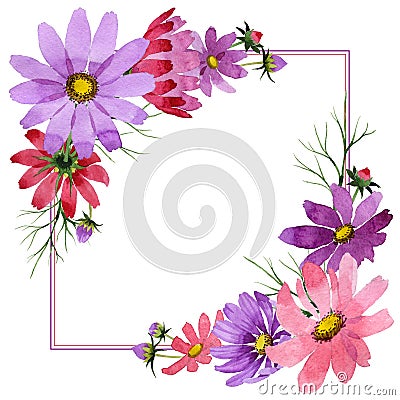 Wildflower kosmeya flower frame in a watercolor style isolated. Stock Photo