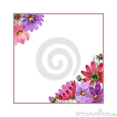 Wildflower kosmeya flower frame in a watercolor style isolated. Stock Photo