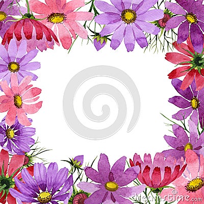 Wildflower kosmeya flower frame in a watercolor style isolated. Stock Photo