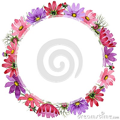 Wildflower kosmeya flower frame in a watercolor style isolated. Stock Photo