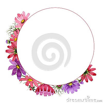 Wildflower kosmeya flower frame in a watercolor style isolated. Stock Photo