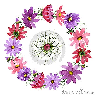 Wildflower kosmeya flower wreath in a watercolor style isolated. Stock Photo