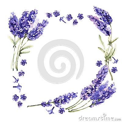 Wildflower lavender flower frame in a watercolor style isolated. Stock Photo