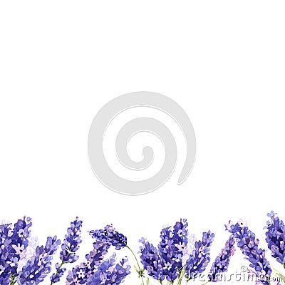 Wildflower lavender flower frame in a watercolor style isolated. Stock Photo