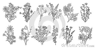 Wildflower line art bouquets set vector isolated. Vector Illustration