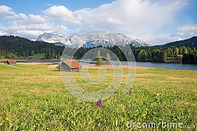 Wildflower meadow with marsh orchids, wooden barns, lake geroldsee and karwendel mountains Stock Photo