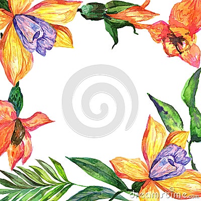 Wildflower orchid flower frame in a watercolor style. Stock Photo