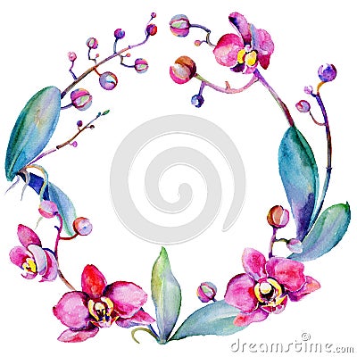 Wildflower orchid flower frame in a watercolor style. Stock Photo