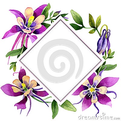 Wildflower orchid flower frame in a watercolor style isolated. Stock Photo