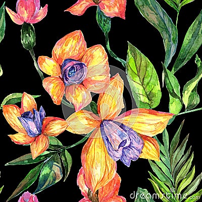 Wildflower orchid flower pattern in a watercolor style. Stock Photo