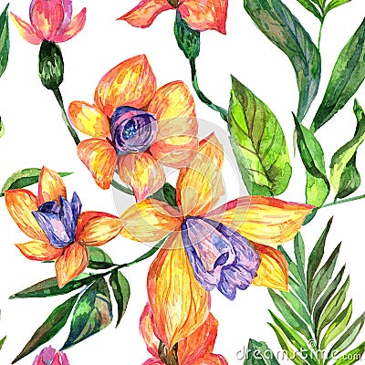 Wildflower orchid flower pattern in a watercolor style. Stock Photo