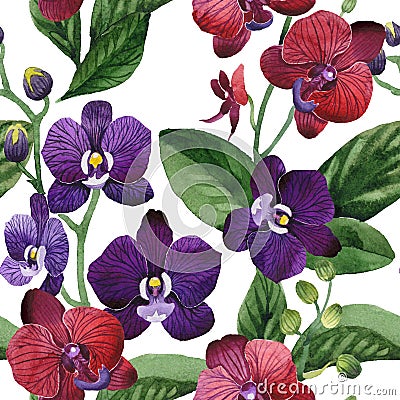 Wildflower orchid flower pattern in a watercolor style. Stock Photo