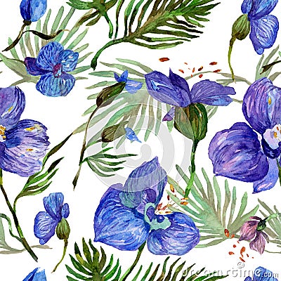 Wildflower orchid flower pattern in a watercolor style. Stock Photo