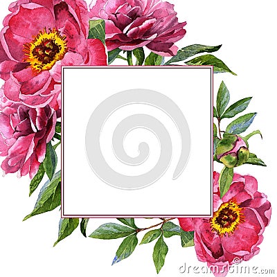 Wildflower peony flower frame in a watercolor style isolated. Stock Photo
