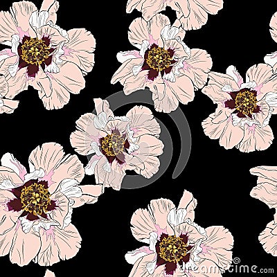 Wildflower peony flower seamless pattern isolated on black background. Stock Photo